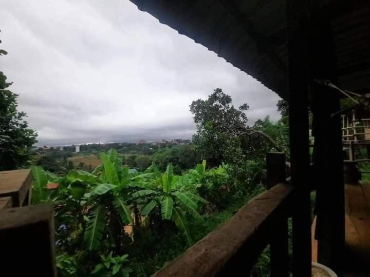 Tree Lodge Banlung Exterior photo