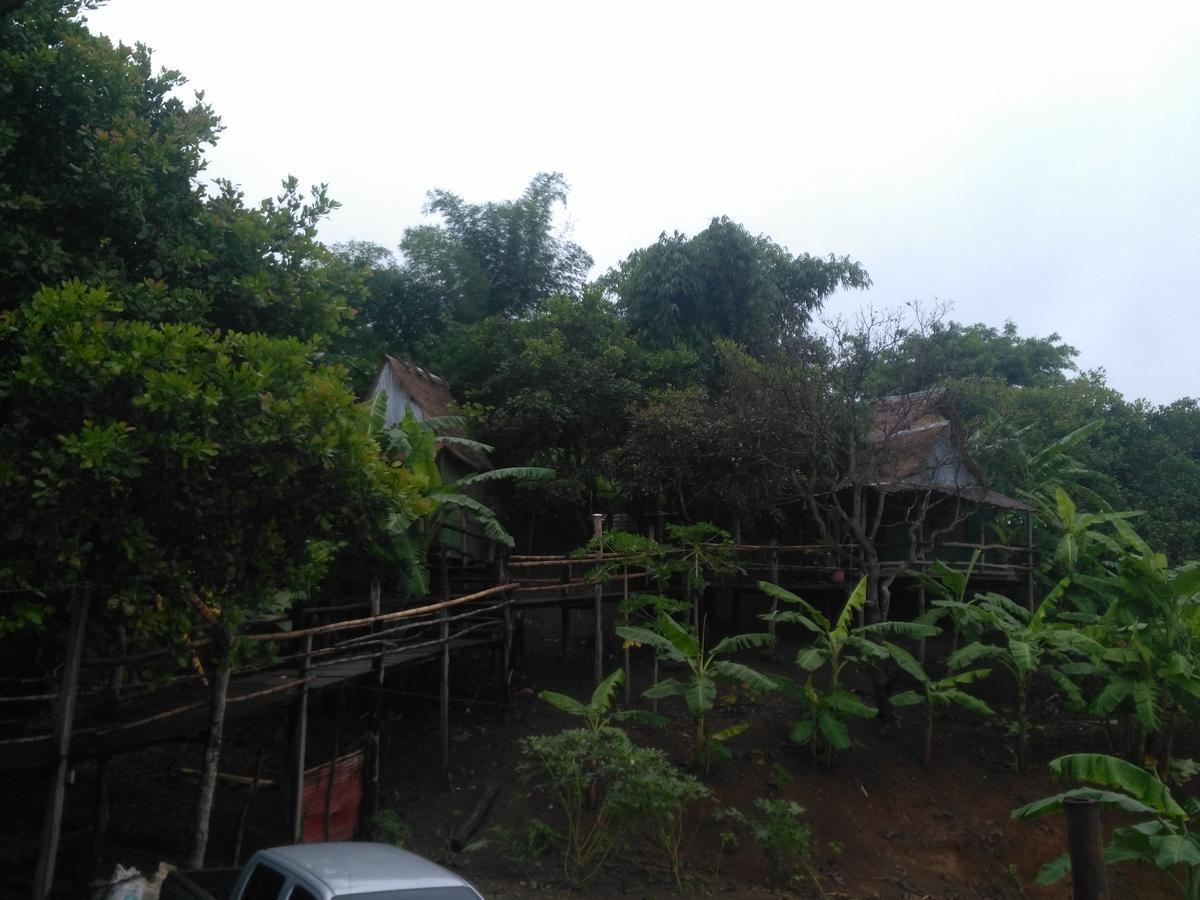 Tree Lodge Banlung Exterior photo