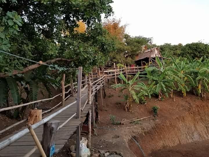 Tree Lodge Banlung Exterior photo